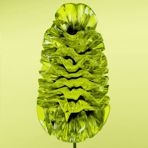 I found the hippies of the #Solana #NFT space! <a href="/SolariumNFT/">Solarium NFT</a> 

I just minted this beauty of a procedurally generated #flower!

Its refreshing to find a small chill artistic community focusing on the art rather than cookie cutter formulas and overhype invite incentives.