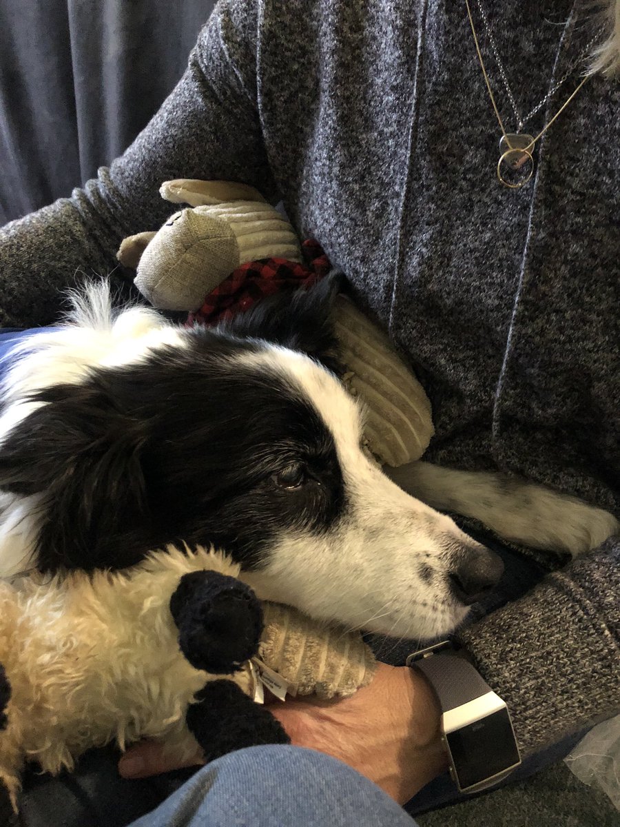 StonePathExplo1's tweet image. Due to the devastating loss of my Best Friend, and the location/Subject that was tonight’s video, I am having to postpone it for a few days. I just cannot bring myself to finish editing it today. I hope you all can understand. 💔😢🐶🌈🙏🏻