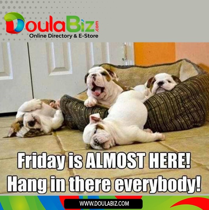 DoulaBiz's tweet photo. Doulabiz........ Creating Possibilities 💥💥🎯

Visit: https://t.co/5CBsvJTgeJ
Call: (876) 926-2222 

#hanginthere #almostfriday https://t.co/0PaCURke4f