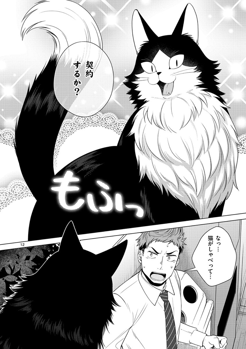 本当は猫大好きツンデレサラリーマン vs 本当は元魔神の猫(3/9) 