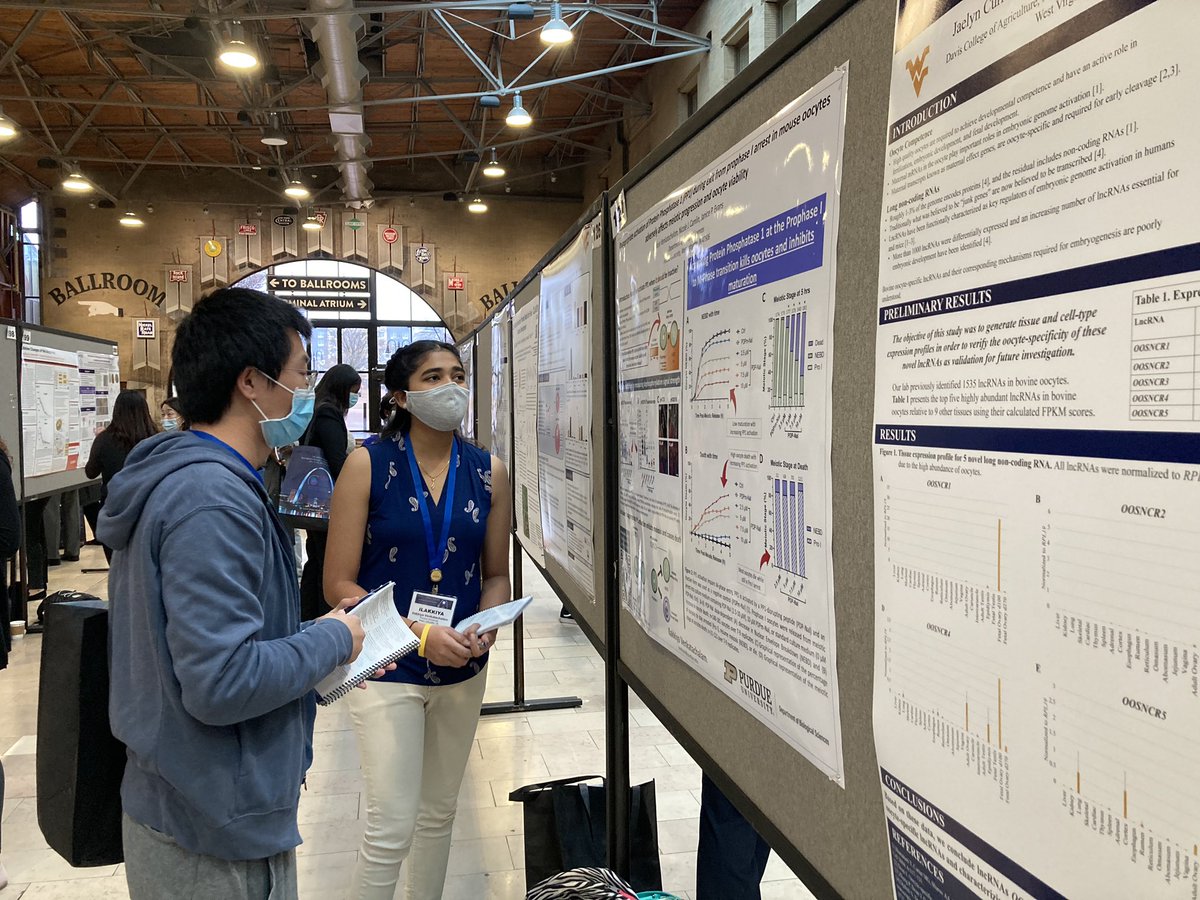 Early morning poster action at #SSR2021, including undergrad in lab Ilakkiya Venkatachalam's 1st poster at natl mtg, also part of @DrNicoleCamlin 's preprint in @bioRxiv #ProudPI