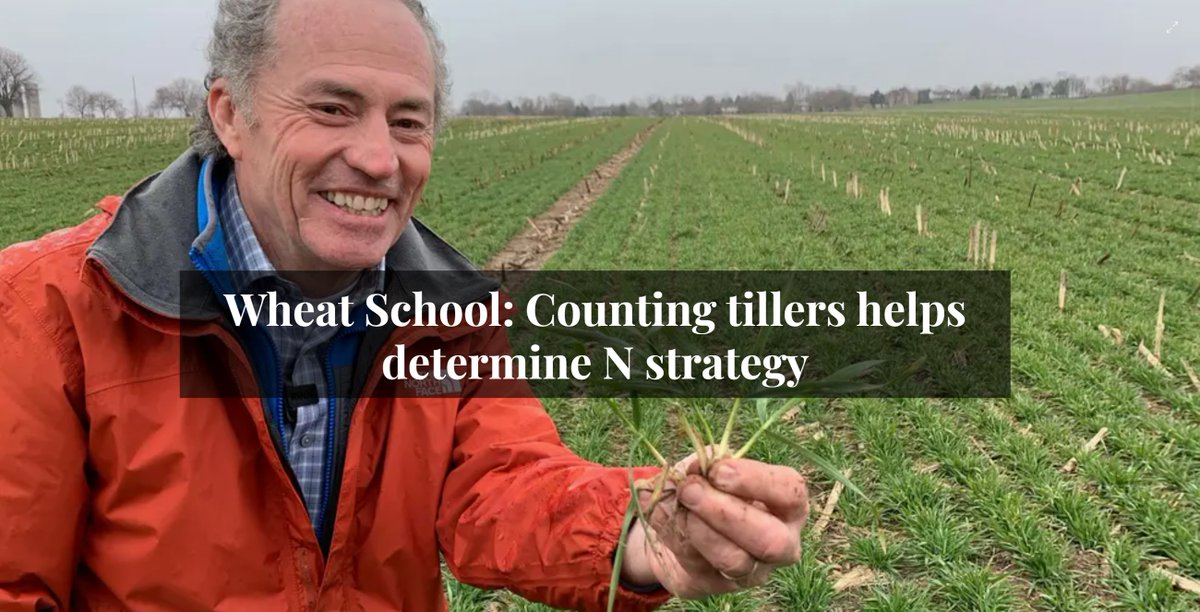 406Agronomy's tweet photo. Don't miss this unique opportunity to listen to @WheatPete live in Montana.
The 4th annual 406 Agronomy Summit is on January 11-12, 2022. Seating is limited, register early to secure your seat. Visit https://t.co/WVYRk1sSJm #406as #mtwheatcrop @realagriculture @MTwheatbarley https://t.co/vXhfoFfvgx