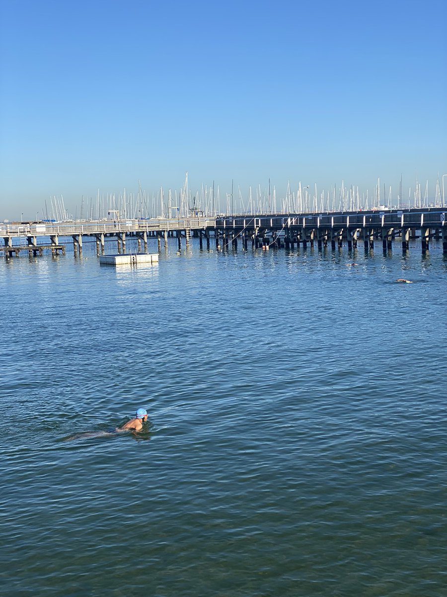 IcebergersBBHC's tweet photo. Happy Friday morning IceBergers! We have some lovely weather coming up which makes perfect for a dip. Great to see swimmers enjoying the morning glory ☀️🏊‍♀️ #BrightonBathsHealthClub #BrightonBaths​ #Melbourne #Australia #Brighton #Health #Fitness #Lifestyle #Exercise https://t.co/0ePWjV2ihx