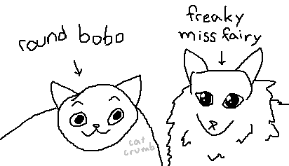 babies two https://t.co/a2Q26avzI0 
