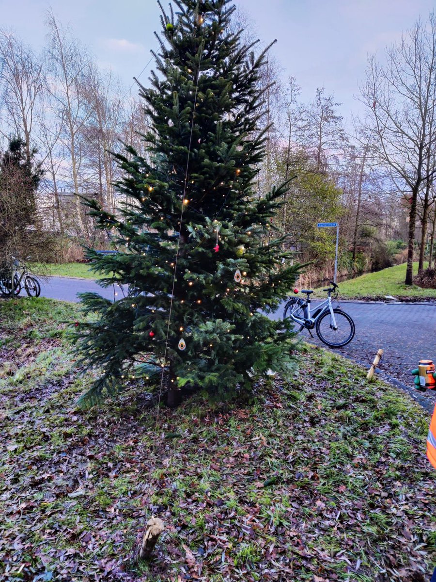 Havankpark's tweet photo. De kerstboon staat er weer mooi bij!! @Havankpark https://t.co/mJZ6HgbIn8
