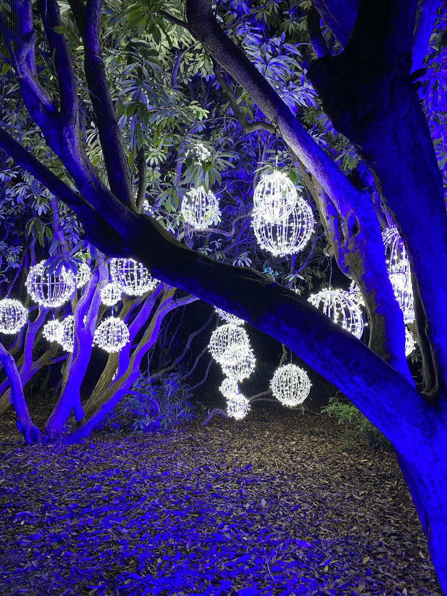 It's the Most Wonderful Time of the Year with my favorite one ❤️ 🎄 amazing work from <a href="/nationaltrust/">National Trust</a> <a href="/sonymusic/">Sony Music</a>  such a beautiful experience 👌🏻💯✨
#christmas #christmaslights #nationaltrust