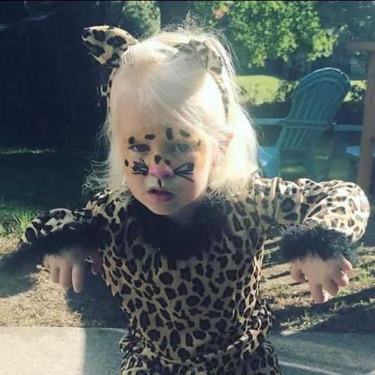 CTCT_API's tweet image. This is a post without variations🐯
