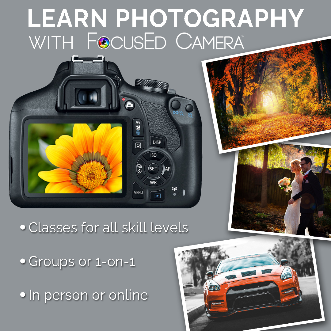 FocusEd Camera tweet media