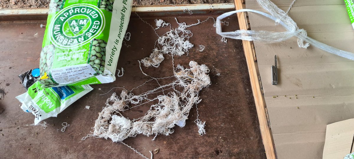 Brendan Taylor tweet media