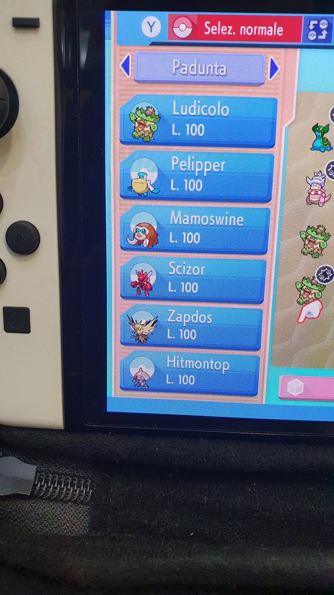 PadoVGC's tweet photo. Padunta strikes again, won the first Rise of Sinnoh Qualifier hosted by @Alexis_Vgc . Have we already built the strongest team in the format, again? @PanDiZenzeroVGC ❤️ https://t.co/2PfOj3mMru