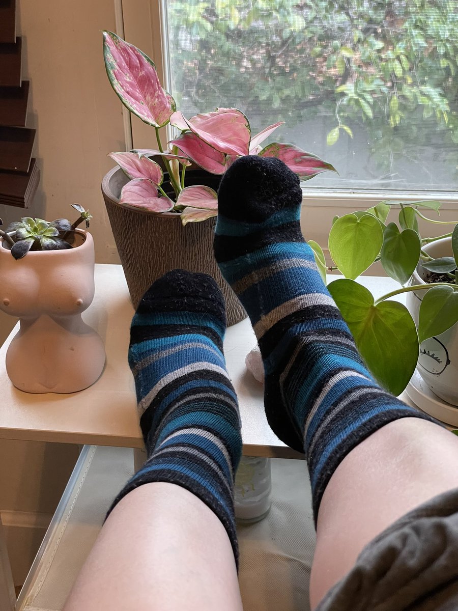 LilysPrettyToes's tweet photo. Plant goddess 🥰 #divine #feminine #goddess #footworshi̇p #stripes #socks https://t.co/5RzxWoti2r