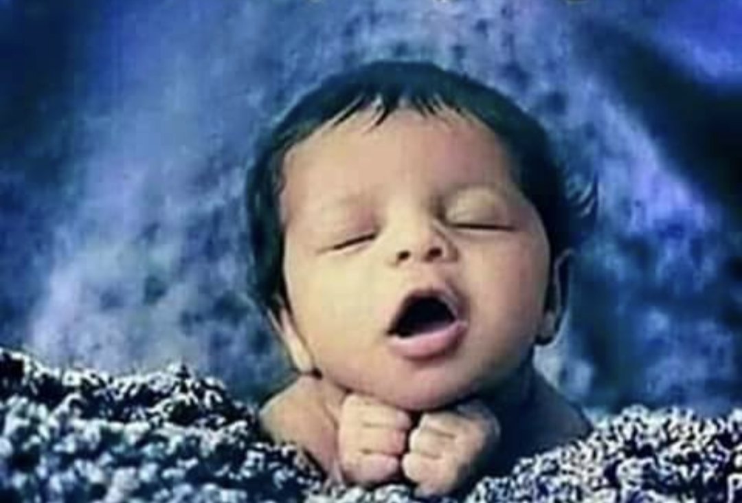 RockfordProphet's tweet photo. When the pussy so good that u nut and keep stroking till u get hard again https://t.co/pAf6yzOeTp