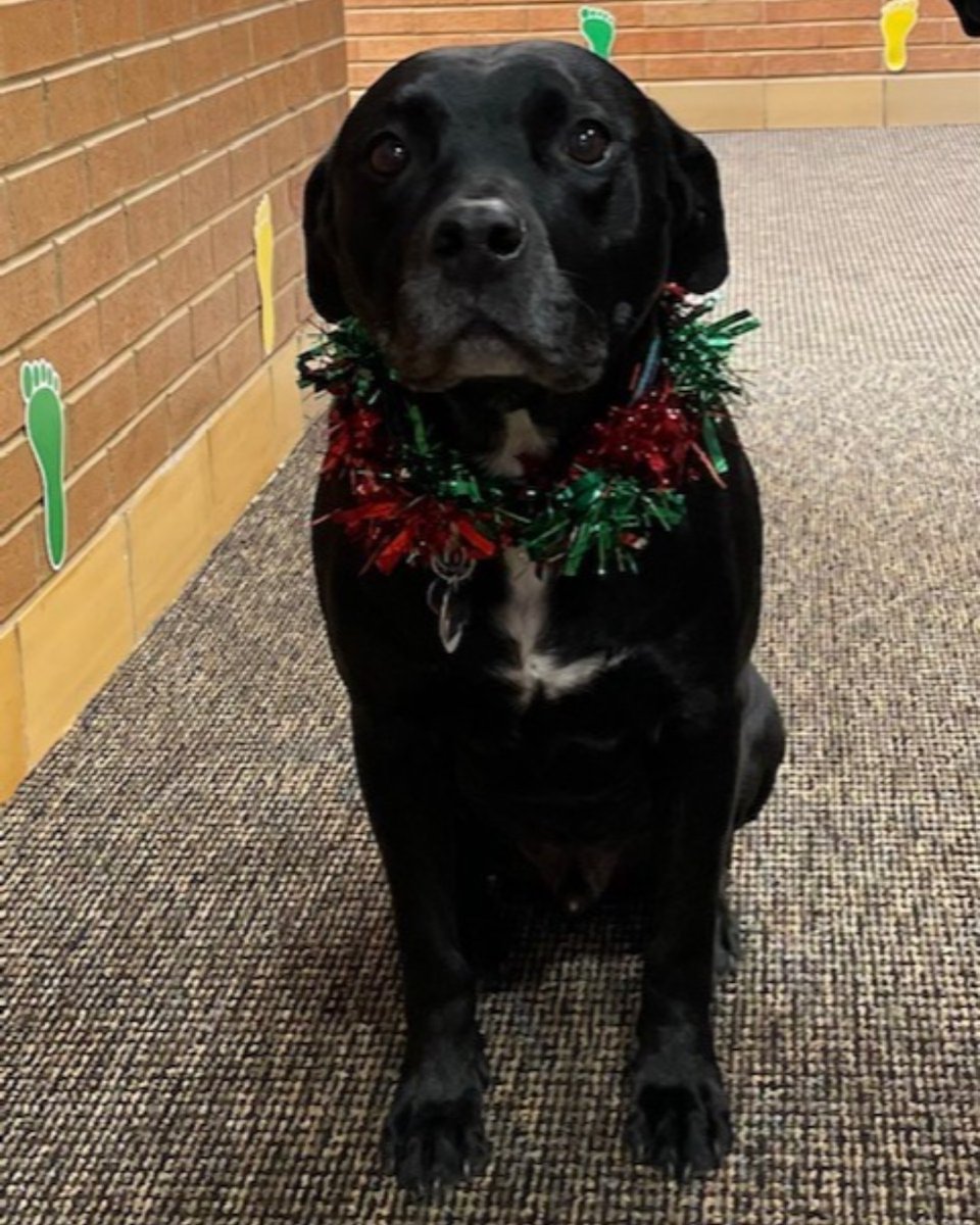 Eiber Elementary School tweet media