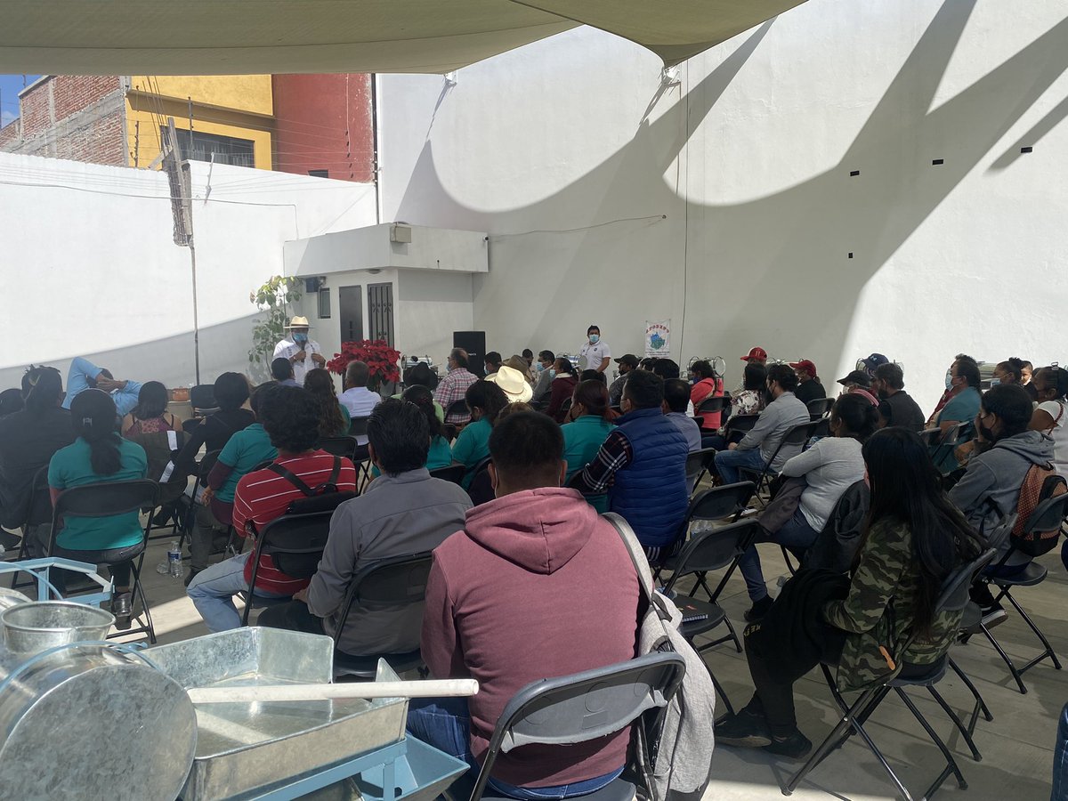 afodepoac's tweet photo. Me dio mucho gusto recibir a nuestros líderes en diferentes regiones de #Oaxaca para fortalecer la estructura de #AFODEPO y así enfrentar los retos que nos depara el 2022. @AfodepoAtzompa @AfodepoN @AfodepoCosta @AfodepoC @afodepon @psicluis222 @NdasxoLeny https://t.co/jH3oVkF46W