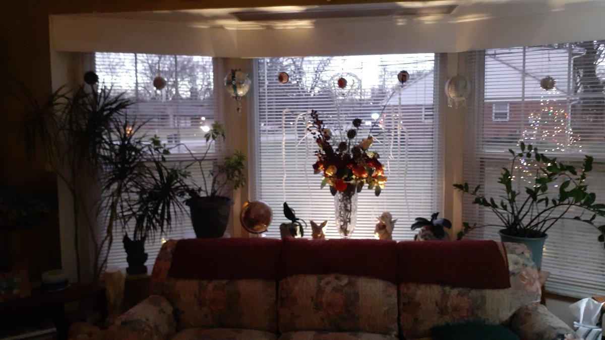 Taylor08536790's tweet photo. Getting everything decorated for Christmas 🎄 🤶🎅☃️ https://t.co/V1XsWuCMH2