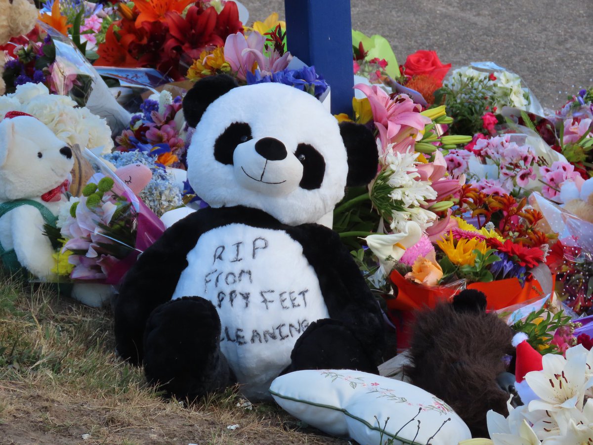 jackevansreport's tweet image. More heartbreaking scenes from #Devonport today. The mass of tributes is growing outside Hillcrest Primary School where 5 kids have died in a tragic jumping castle accident.  bit.ly/33A6tfB @themercurycomau
