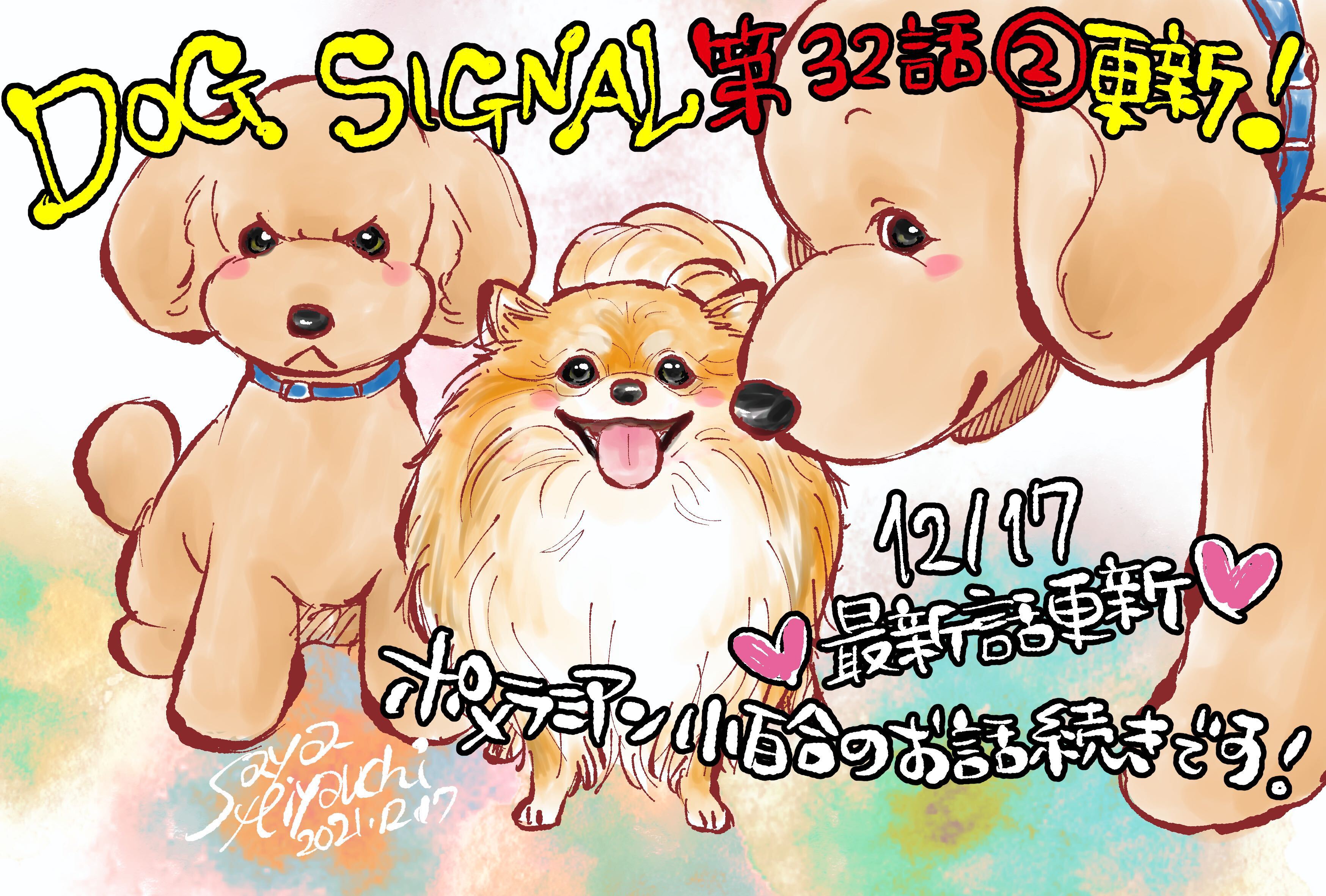 DOG SIGNAL（ドッグシグナル）【公式】 в X: „🐶更新情報