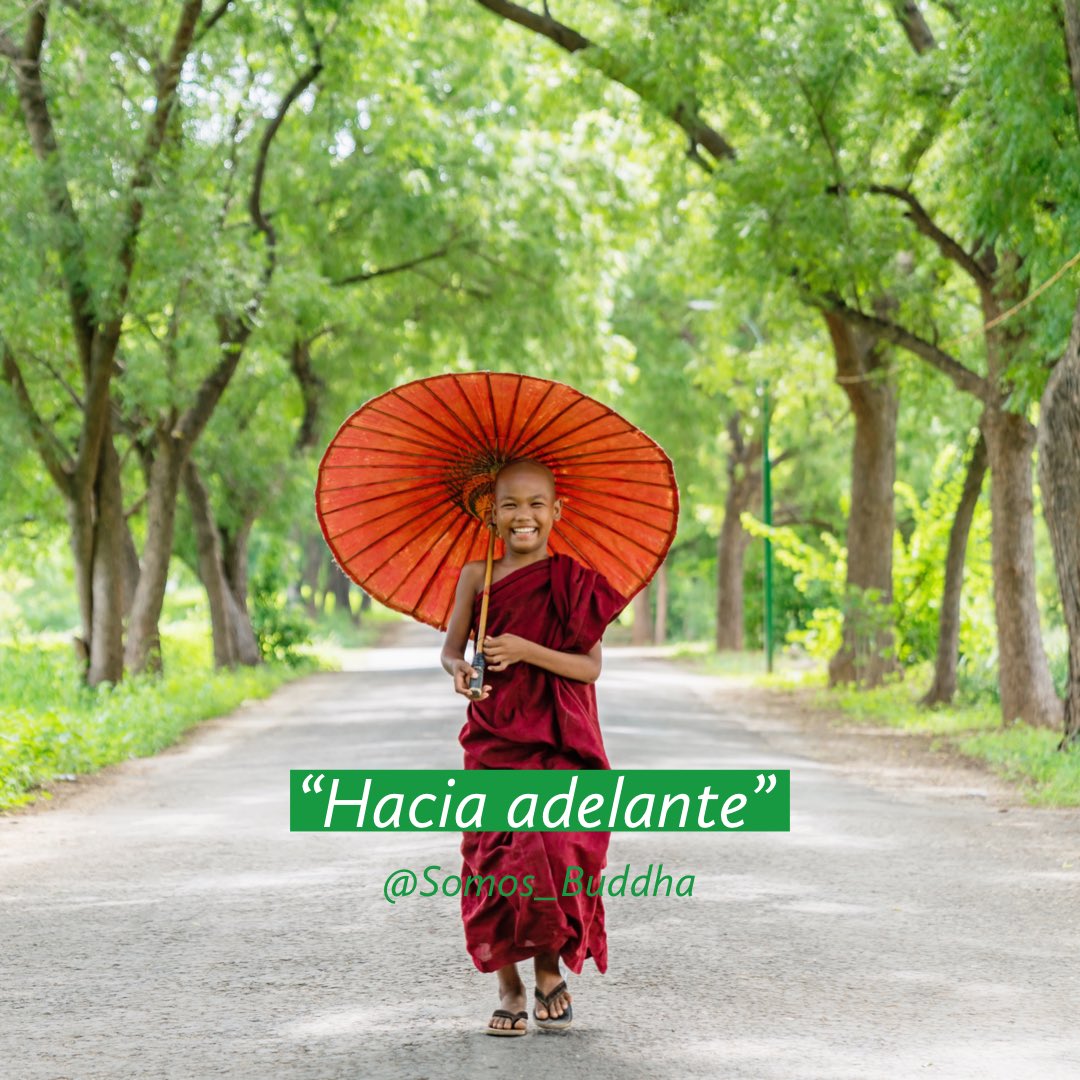 Somos_Buddha's tweet photo. Debemos estar dispuestos a renunciar a todo lo que obstaculice nuestros pasos hacia adelante.- #Namaste 

-Se la paz que habita en ti- https://t.co/8XbsShFUyB