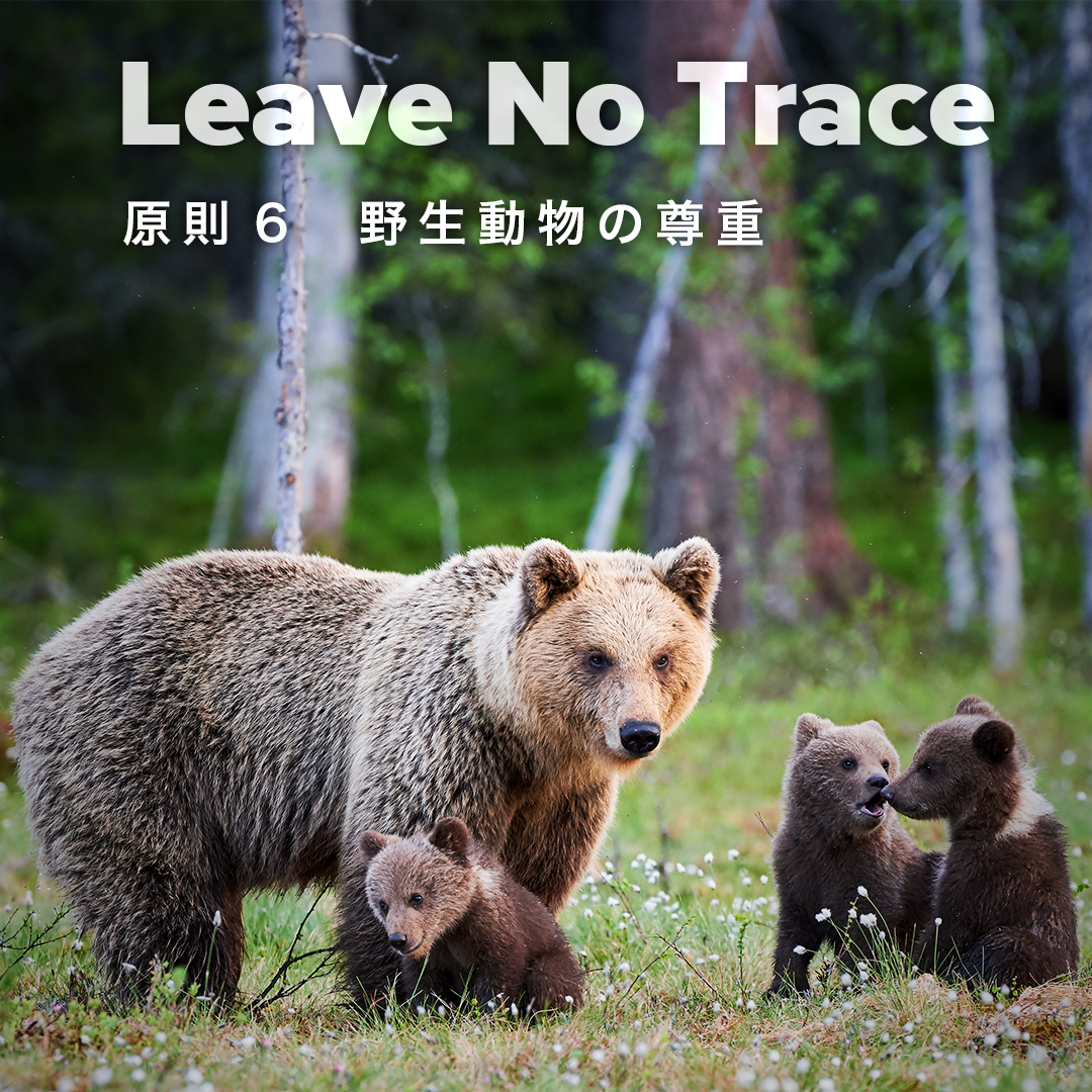 KEEN_Japan's tweet photo. #LeaveNoTrace åå6ïŒ#éçåç©ã®å°é
次ã®äžä»£ã«ããçŽ æŽãããèªç¶ã楜ããã§ããããããããKEENã¯ãã®æ³ãã§ #LNT ãå¿æŽããŠããŸãð³è©³ããã¯ãKEEN BLOGãã芧ãã ããã
â€KEEN BLOGïŒhttps://t.co/7gZDzDQ7p5
#KEEN #KEENEFFECT #OUTSIDEBETTER #ãã¡ãŒãžãæ®ããèªç¶ãæ®ãã https://t.co/exzeTJu74S