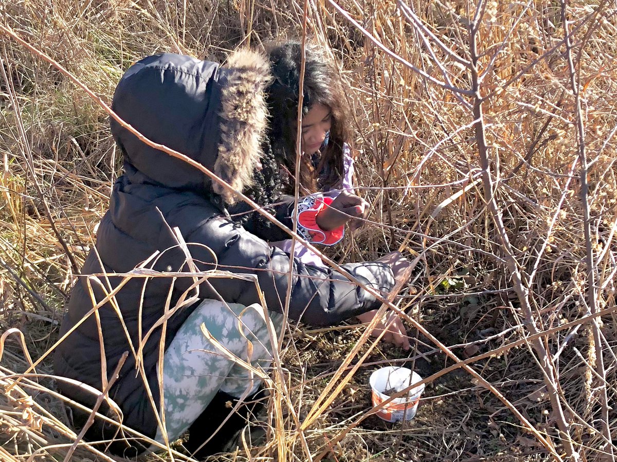 We enjoyed some outside science time this afternoon planting seeds in our prairie.   <a href="/BREMustangs/">Blue Ridge CoMo</a> <a href="/Szydlowskim/">Mike Szydlowski</a> <a href="/EcologySchoolME/">The Ecology School</a> <a href="/gsmitremont/">Great Smoky Mountains Institute at Tremont</a> <a href="/mkuensti/">Matt Kuensting</a>