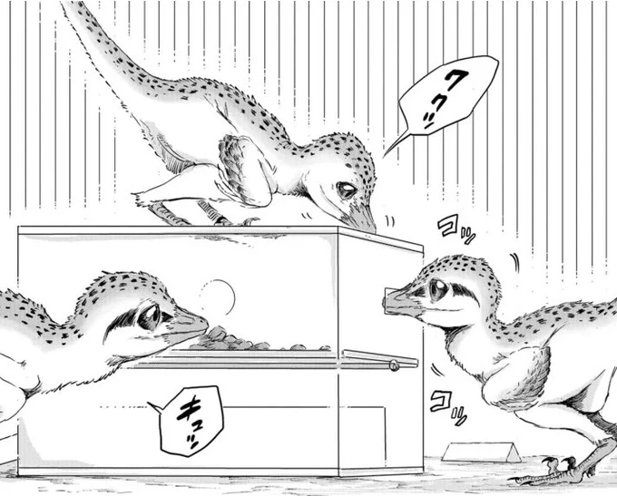 バンチwebにてディノサン第9話「内弁慶なベンケイ」後編が更新されました🦖☀️  ベンケイは仲間の群れに無事帰れるのかーー!?  このマンガのトロオドンがすごい! 第1位間違いなしです。   #恐竜 #漫画