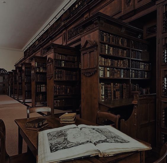 AcademiaDreams's tweet photo. The Librarian https://t.co/3o9uHxcT55