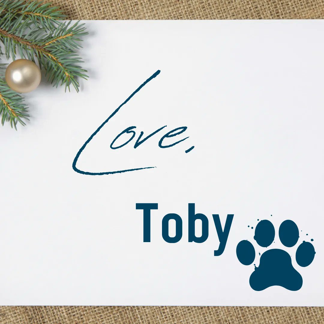 vetmeasure's tweet image. According to the American Kennel Club, 70% of pet owners will sign their dog's name on their holiday cards. Was your dog included on your holiday card this year? #Holidays #Dogs #VetMeasure