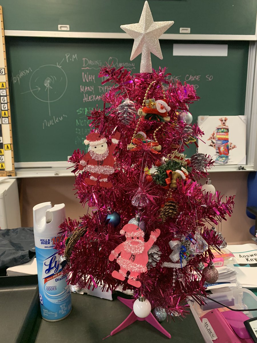 Student made handmade ornaments for our classroom tree 😁