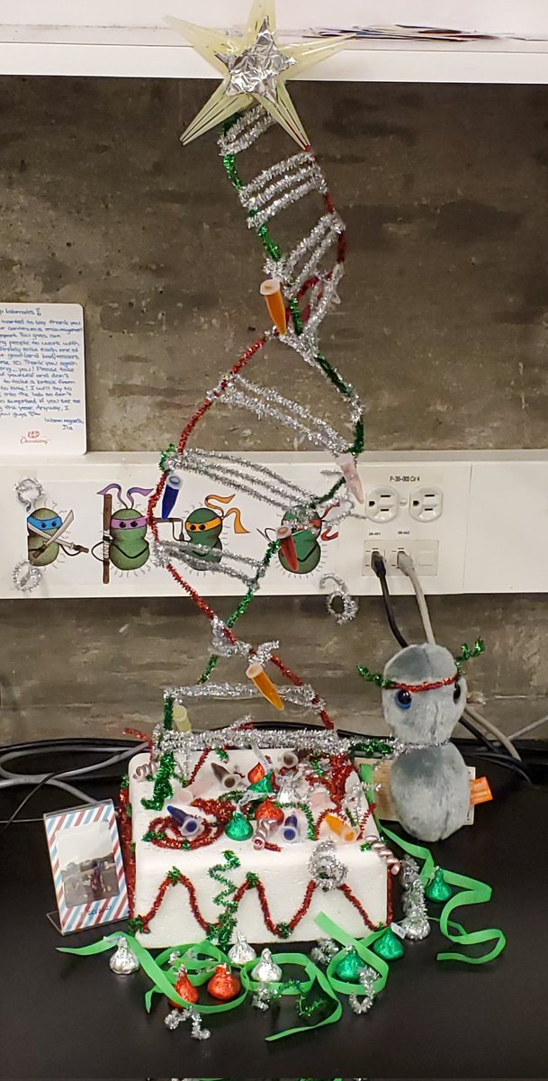 BernetEve's tweet photo. Merry Xmas from @VeyrierFrederic Lab with a beautiful #DNAtree https://t.co/wQVEucNgjc