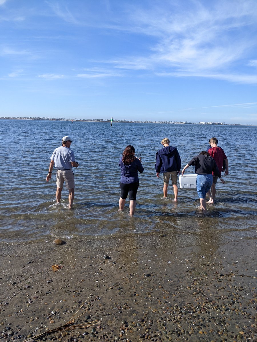 HubbsSeabass's tweet photo. Students from @mdcrusaders have just released 18 White #Seabass they cared for over the fall semester. 

Working with @HubbsResearch to help restore wild fish populations, #students learn #aquaculture techniques and real-world #STEM applications! 

#science #fish #biology https://t.co/gXJ8ChSfVB