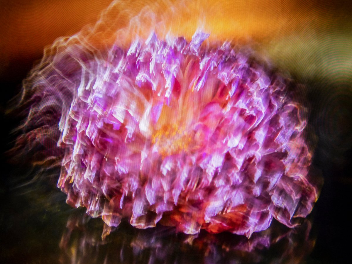 a1111ac011d0's tweet photo. CRYPTOFLORA
Signal.3
@withFND 
https://t.co/6WJJwNFjUW https://t.co/yq0bPNHETv