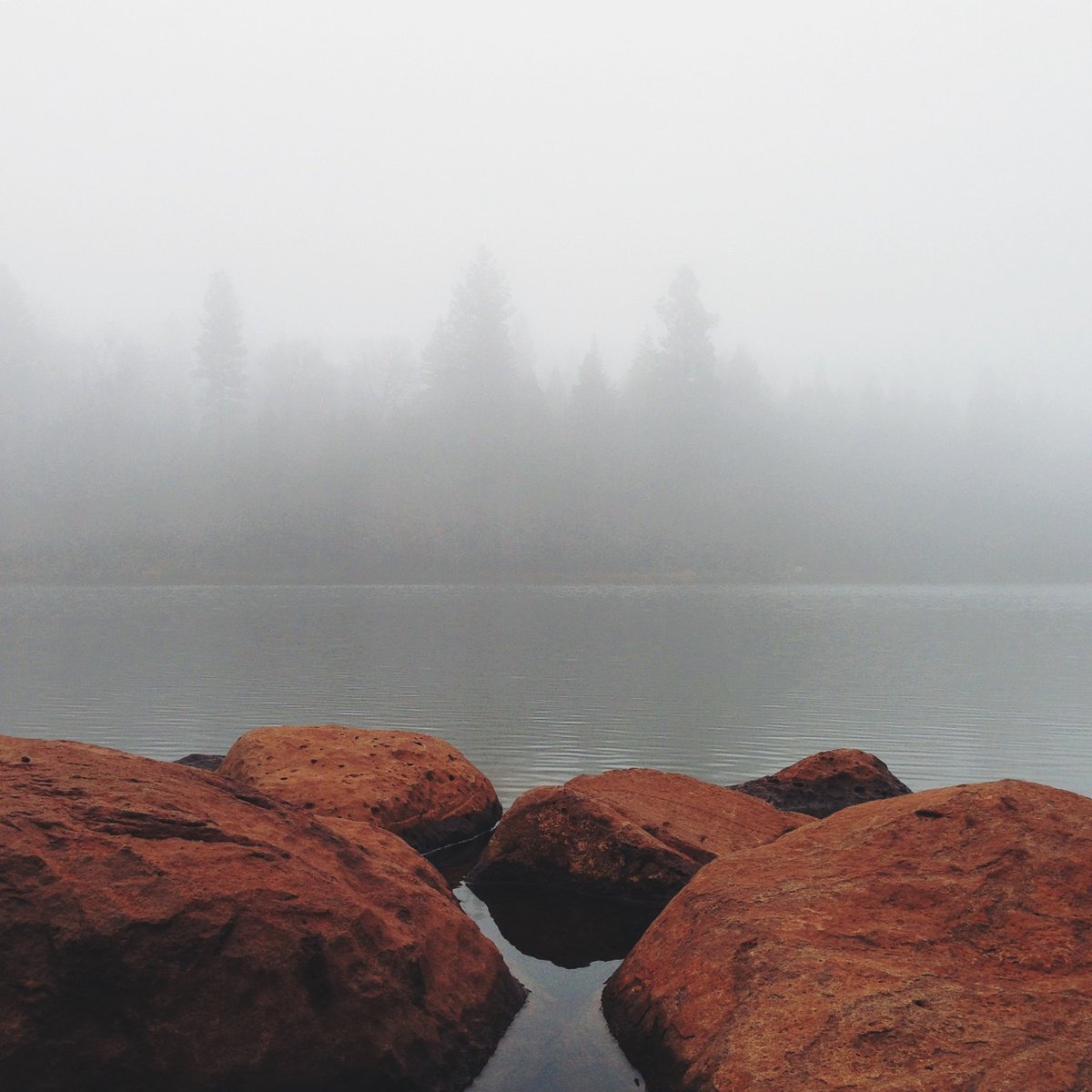 Archillect (@archillect) on Twitter photo 