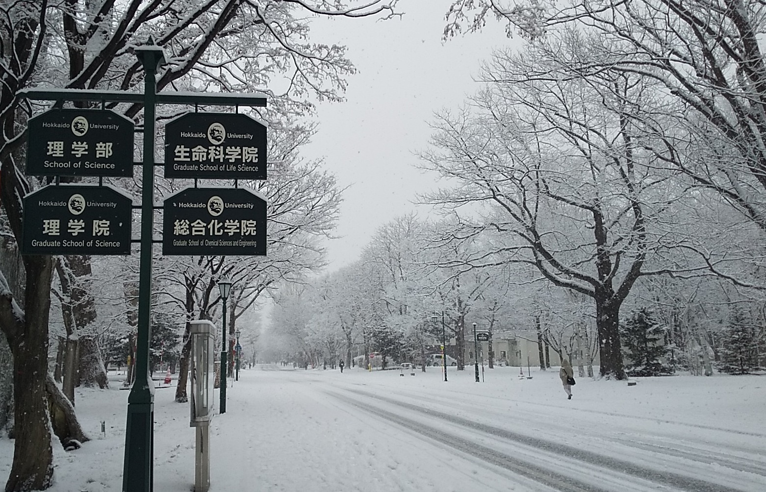 北海道大学理学部 今日の降りで根雪確定 ここでオリンピックマラソンがあったのはほんの4か月前なのに もはや遠い昔のようです 北大メインストリート T Co Rzq5k7vjun Twitter 北海道大学理学部 今日の降りで根雪確定 ここでオリンピックマラソンがあったのはほんの4か月前なのに もはや遠い昔のようです 北大メインストリート T Co Rzq5k7vjun Twitter