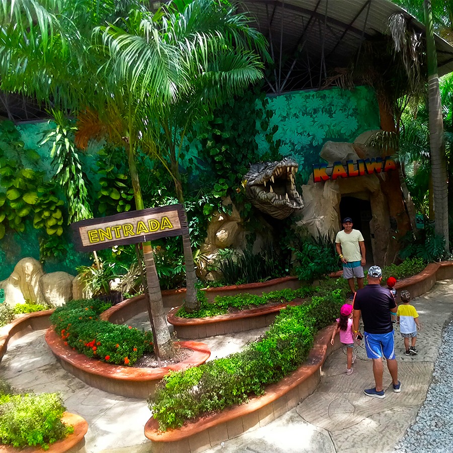 PTHDANAPOLES's tweet photo. ¿Ya conoces Kaliwa?
Un lugar lleno de Jaguares, cóndores, tortugas y otras especies en peligro de extinción que hacen parte de un lindo show de animatronics que quiere crear cultura ambiental. https://t.co/fspn7gWrQJ