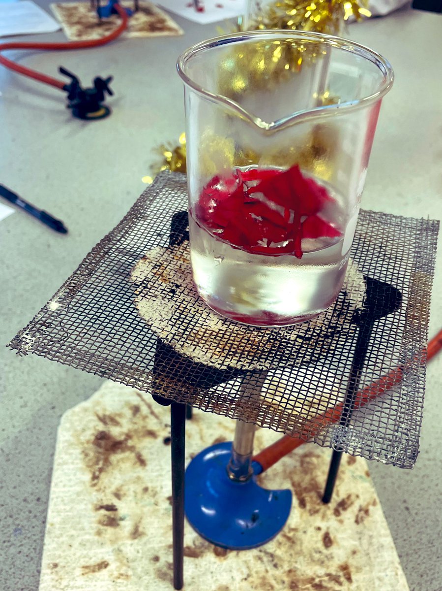 CastleNewnhamScience tweet media