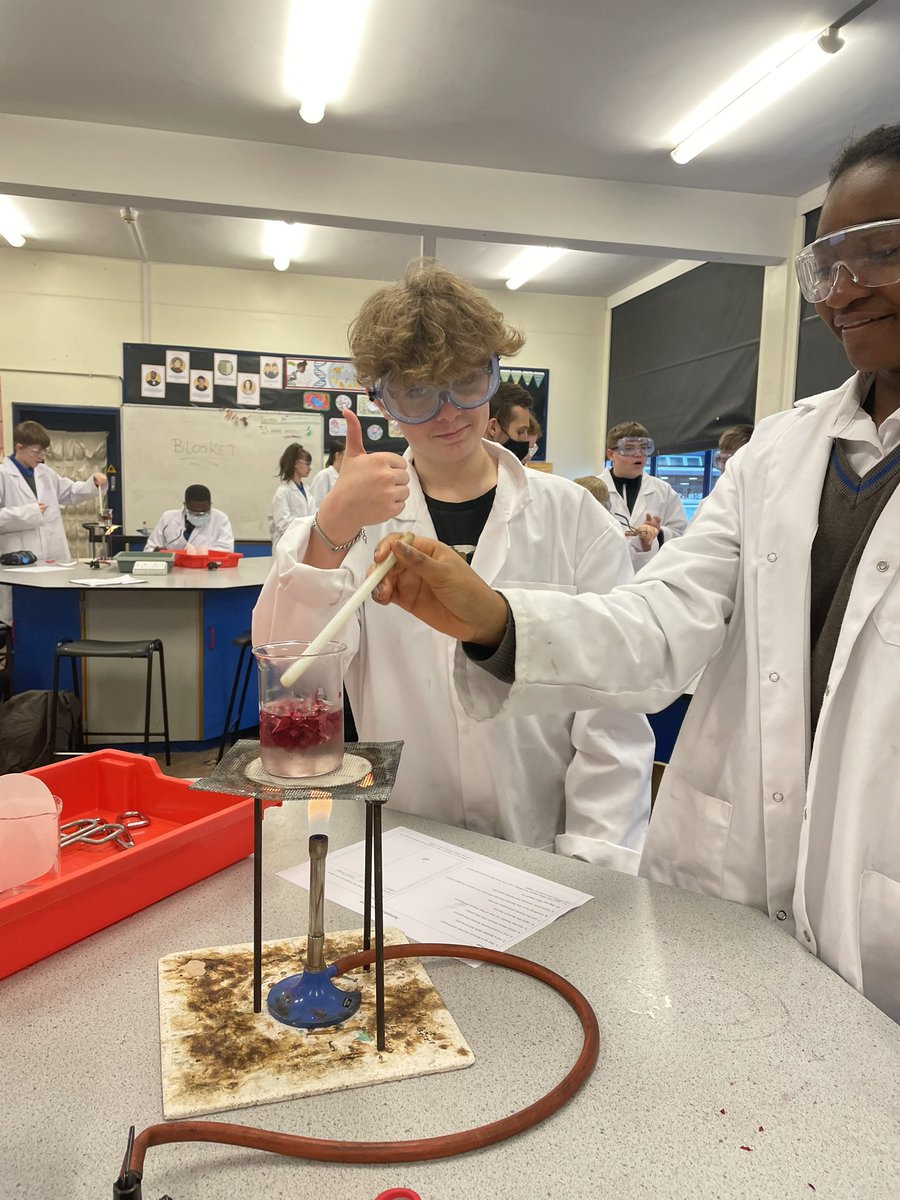 CastleNewnhamScience tweet media