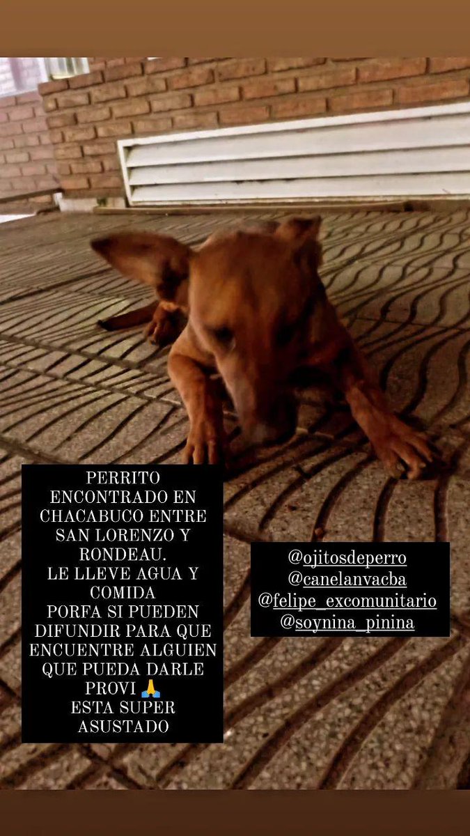 Ayudenme a difundir por fa🙏
<a href="/VivireNuevaCba/">VivirenNuevaCórdoba®</a> 
<a href="/patitasdelsurr/">Patitas del Sur🐾</a>