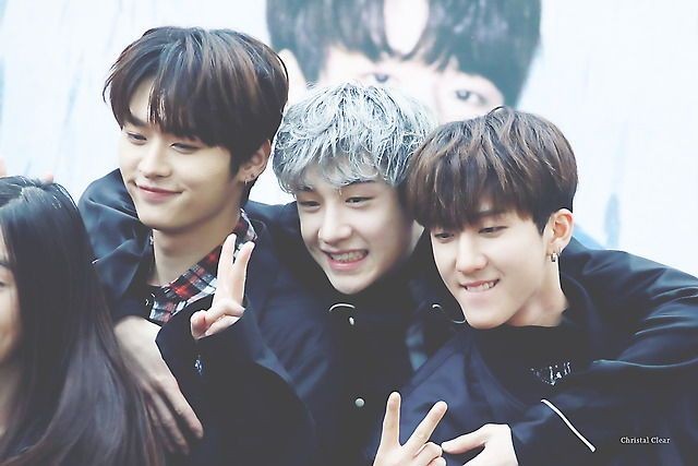 фф чан минхо