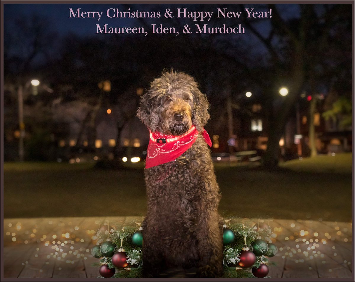 Maureen_Jennings (@maureen_iden) on Twitter photo 