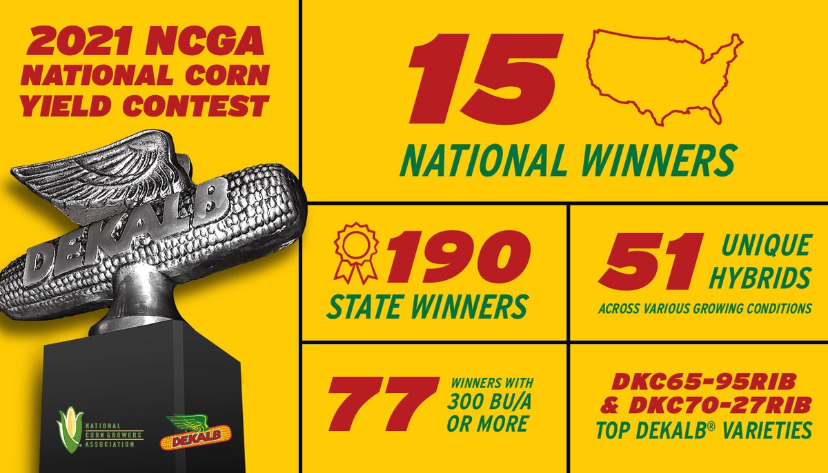 Asgrow_DEKALB's tweet photo. The results are in. And boy, did DEKALB farmers show up. Congratulations to all of this year’s @NationalCorn contest winners. #WinningHasRoots

https://t.co/mkztrMX1ZI https://t.co/AHZpYEDCcY