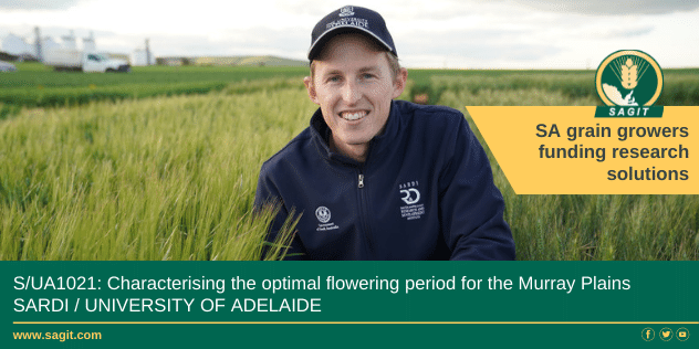 2021-22 NEW PROJECTS

What's new in SAGIT-funded research this year?

The Optimum Flowering Period for wheat and barley varieties, with different maturity windows, is to be characterised for the Murray Plains region. 

@SA_PIRSA @UniofAdelaide @UniAdelSciences @BrendanKupke https://t.co/hv23QEsTHb