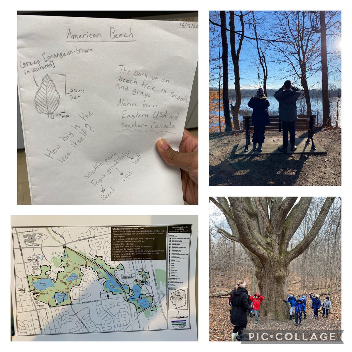 Natalie Currie tweet media