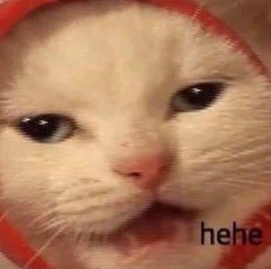 Creebelle's tweet photo. @tsagnutp @rainytheday We had been talking about it when I was looking for a contact photo and I thought it fit perfectly ☺️ 
and you can’t say shit cause you made mine a screen cap of live action Sonic!!! https://t.co/uU8DWFERbu