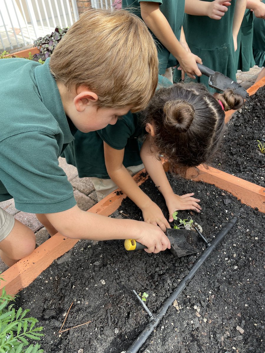 #PCK got to plant their peculiar produce in the #PCGarden this week. After nurturing the seeds in their classroom, they loved getting their hands dirty planting their seedlings. #PCiLab #PCNurturing