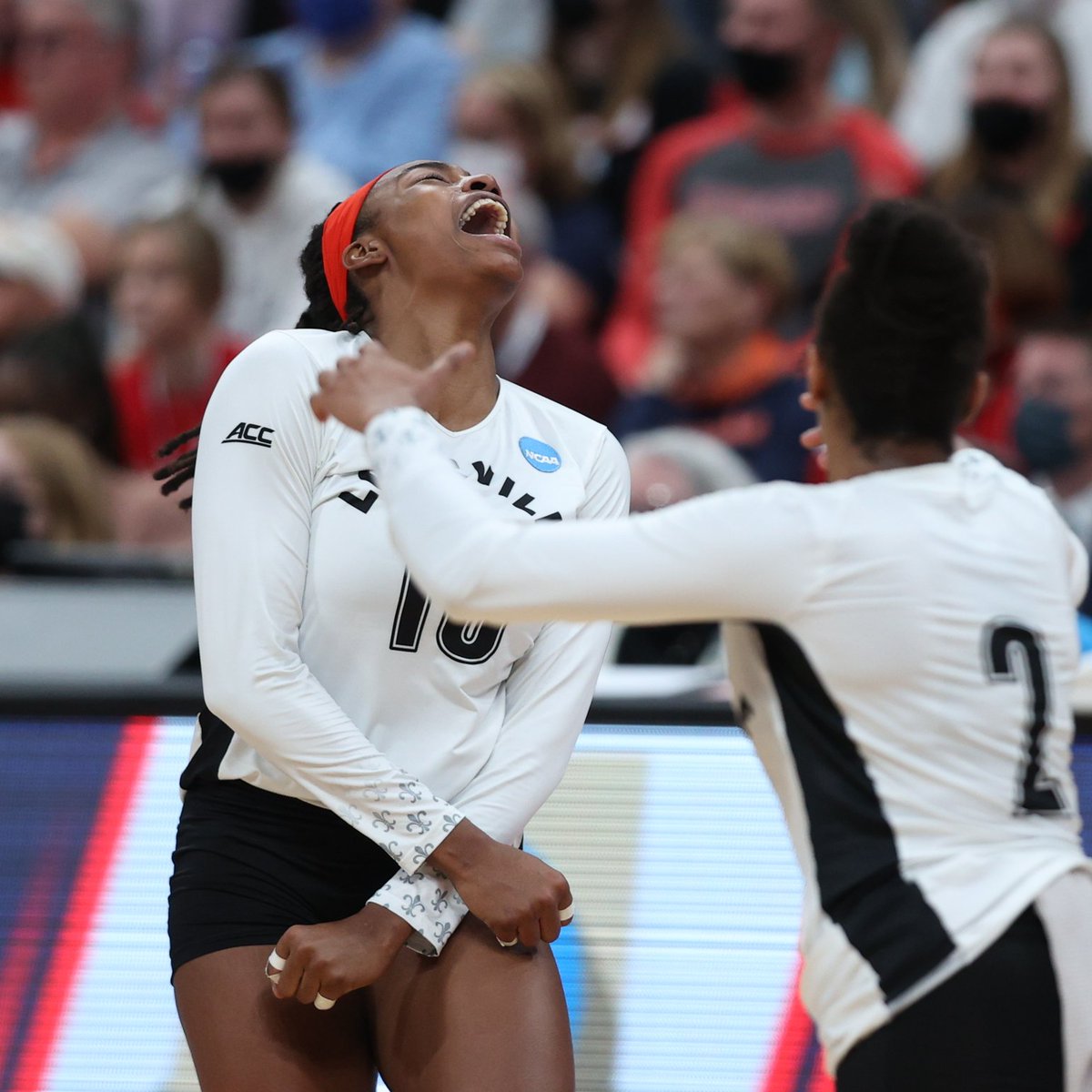 Louisville Volleyball tweet media