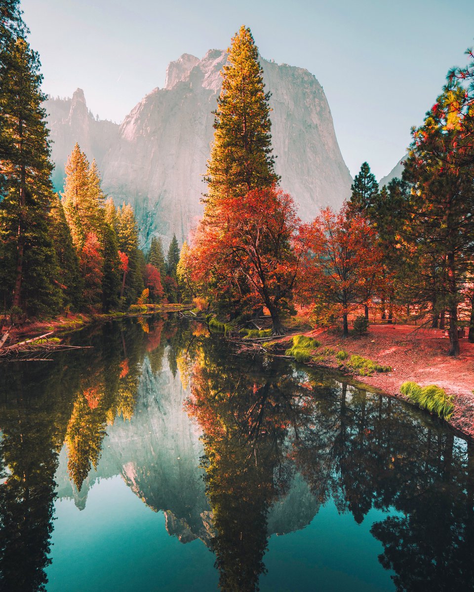 One of my favorite moments of my photography career, a still morning in the peak Fall of Yosemite Valley. Magical, inspiring, and almost too beautiful to be real 🍁

Collected on <a href="/SuperRare/">SuperRare</a> by <a href="/batsoupyum/">batsoupyum</a> 🙏🏻