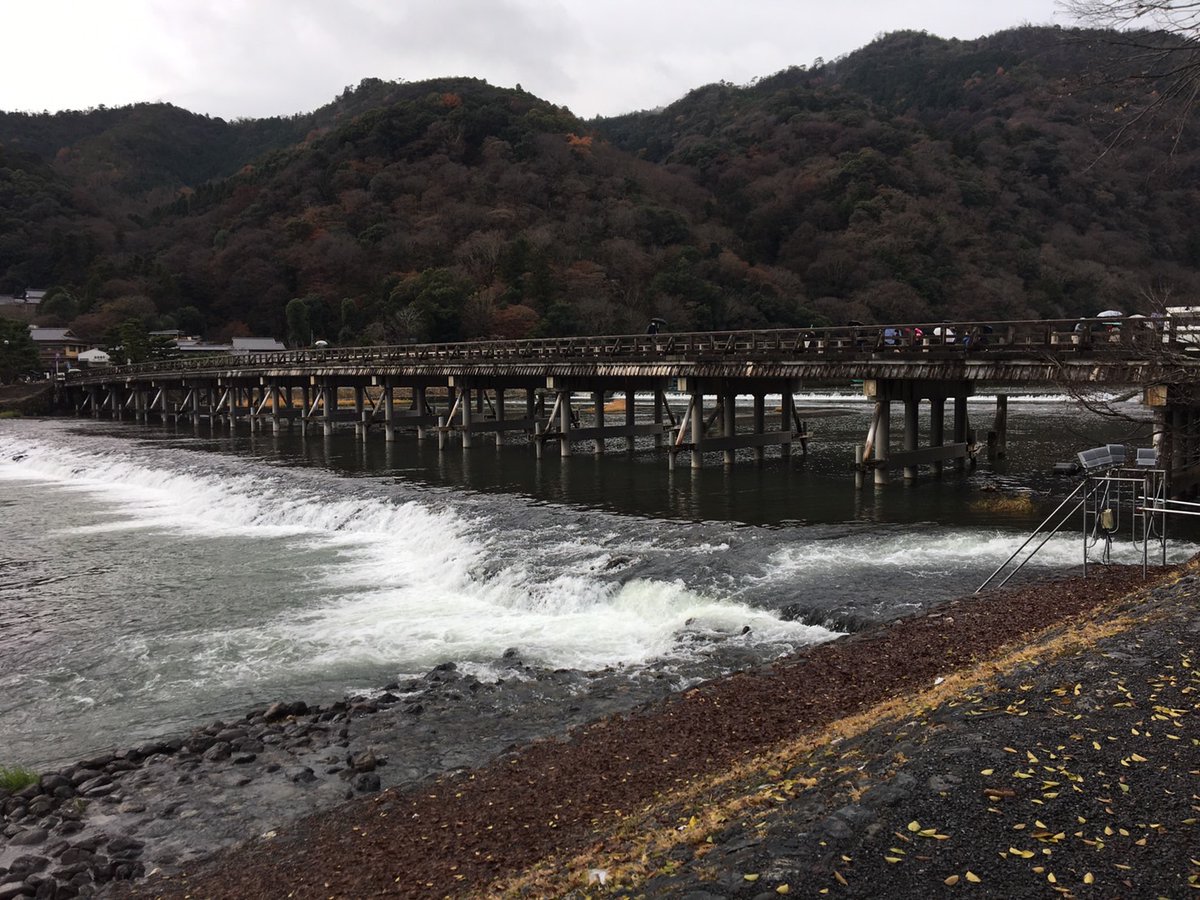 We go to Arashiyama this morning. We enjoy the beauty of nature.