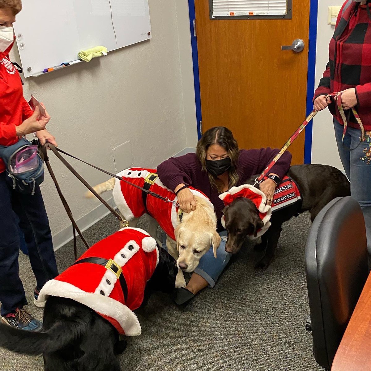 lhmsroar's tweet photo. @sitmeanssit therapy dogs bring joy to everyone especially during the holidays. https://t.co/oVwo3zvcmp