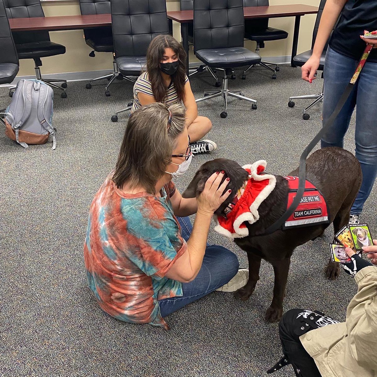 lhmsroar's tweet photo. @sitmeanssit therapy dogs bring joy to everyone especially during the holidays. https://t.co/oVwo3zvcmp