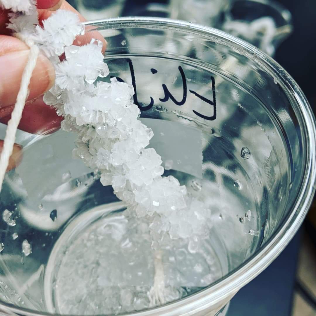 Azul Purcell tweet media